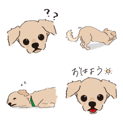 [LINE絵文字] らーの絵文字の画像