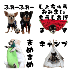 [LINE絵文字] ほぼチワワの絵文字4【犬】の画像