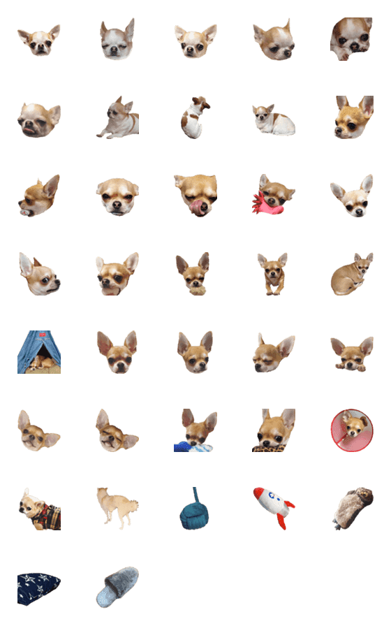 [LINE絵文字]FunnyChihuahua2の画像一覧