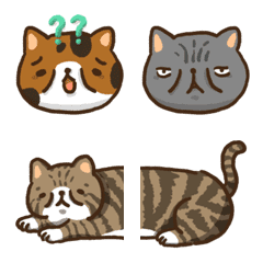 [LINE絵文字] Exotic shorthair cat expressionの画像