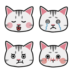 [LINE絵文字] cat cute cuteの画像