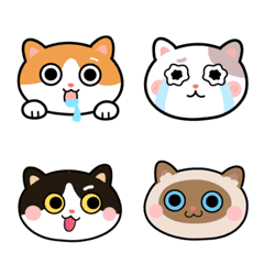 [LINE絵文字] cat - dailyの画像