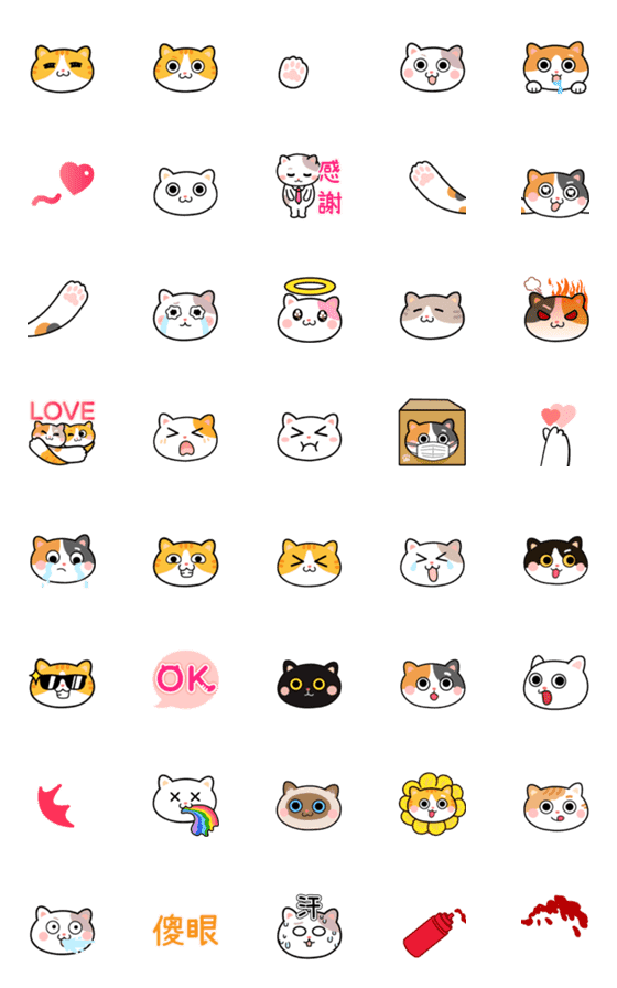 [LINE絵文字]cat - dailyの画像一覧