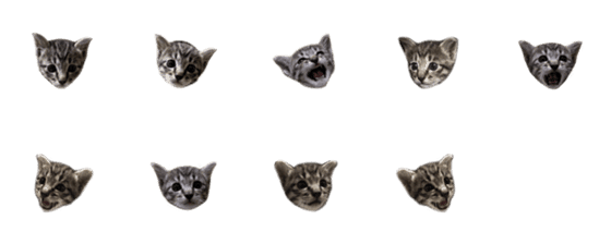 [LINE絵文字]Tabby cat tiger skin baby periodの画像一覧