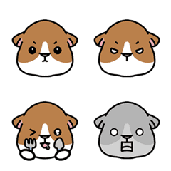 [LINE絵文字] CCCAT-Cavia porcellusの画像