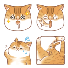 [LINE絵文字] marmalade catの画像