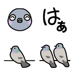 [LINE絵文字] ハトのいる日常の画像