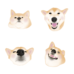 [LINE絵文字] Shiba Luffyの画像