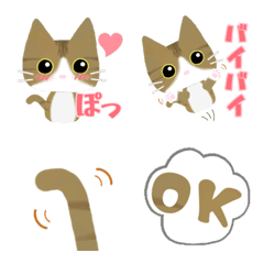 [LINE絵文字] きじ白猫の絵文字の画像