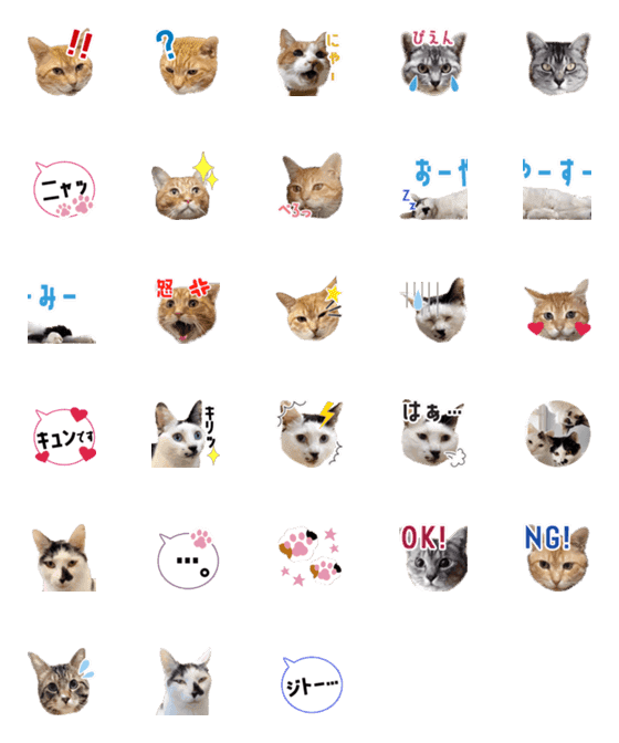 [LINE絵文字]【キャッツイン東京】猫助け絵文字♪第1弾の画像一覧