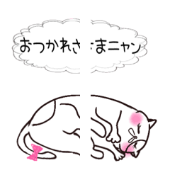 [LINE絵文字] 猫の眼差しの画像