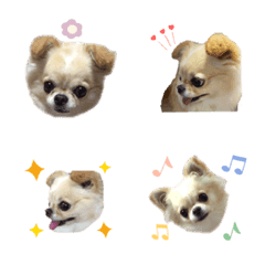 [LINE絵文字] hina chan emoji 2の画像