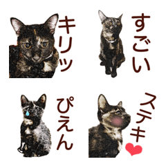 [LINE絵文字] サビ猫のアート風絵文字の画像