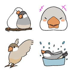 [LINE絵文字] 文鳥さんのえもじの画像