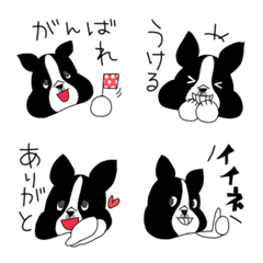 [LINE絵文字] ボストンテリアちゃんの絵文字の画像