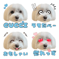 [LINE絵文字] マルチーズ♡GUCCIの絵文字の画像