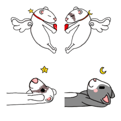 [LINE絵文字] Ferret and catの画像