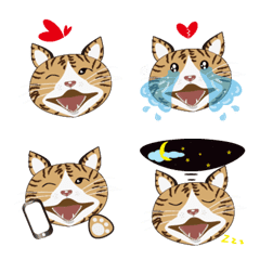 [LINE絵文字] jessie cat no-2の画像