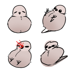 [LINE絵文字] Red Collared Doveの画像