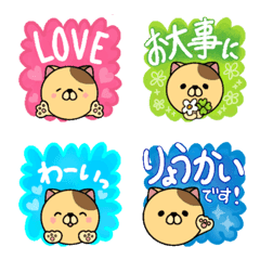 [LINE絵文字] おっとりネコさんよく使うメッセージ絵文字の画像