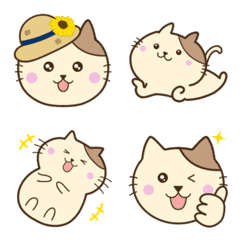 [LINE絵文字] 猫のみゃーすけ絵文字の画像