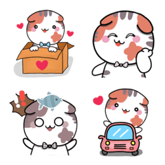 [LINE絵文字] Mika chubby Scottish fold cat Emoji.の画像