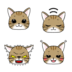 [LINE絵文字] 使いやすい猫絵文字の画像