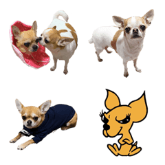 [LINE絵文字] FunnyChihuahua3の画像