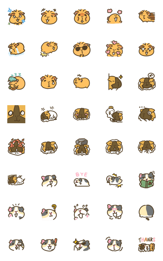 [LINE絵文字]Guinea pigs are so cuuuuuteの画像一覧