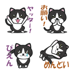 [LINE絵文字] かわいいハチワレねこの画像