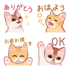 [LINE絵文字] 毎日ねこちゃん【動く絵文字】の画像