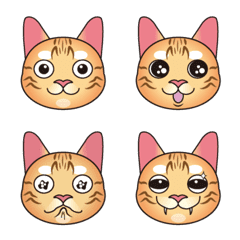 [LINE絵文字] Playful cat Tobyの画像