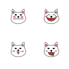 [LINE絵文字] Cute fluffy white dog Emojiの画像