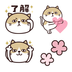 [LINE絵文字] ねこたさん♡動く絵文字の画像