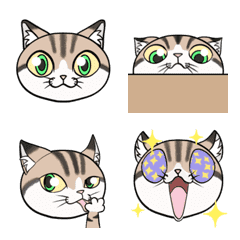 [LINE絵文字] 動くよ☆キジねこ 絵文字の画像