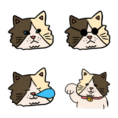 [LINE絵文字] 猫のドルの絵文字。の画像