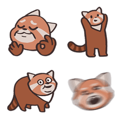 [LINE絵文字] ''PFY'' red panda emoji_ revisionの画像