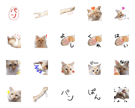 [LINE絵文字]猫のパンちゃん絵文字の画像一覧