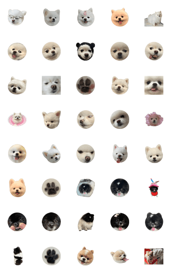 [LINE絵文字]Doggy Blueberry Strawberry ＆ Berryの画像一覧