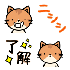 [LINE絵文字] ねこちゃんの動く喜怒哀楽〜絵文字の画像