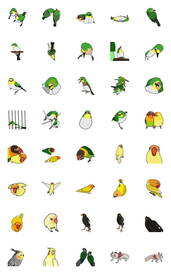 [LINE絵文字]Peanut-bird and fishの画像一覧