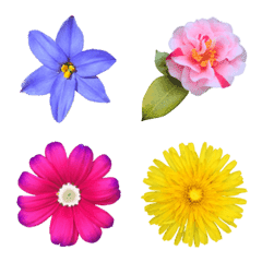 [LINE絵文字] 大人の文章に添える春の花々の画像