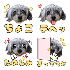 [LINE絵文字] ダップー♡ちょっちゃんの絵文字の画像