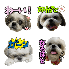 [LINE絵文字] Shih Tzu's daily lifeの画像