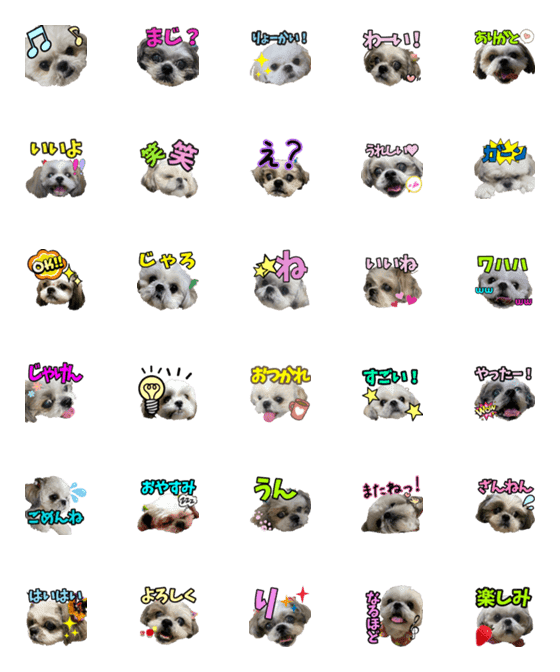 [LINE絵文字]Shih Tzu's daily lifeの画像一覧