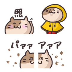 [LINE絵文字] クマなしネコ。の画像