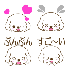 [LINE絵文字] わんこ日和(マルチーズ)の画像