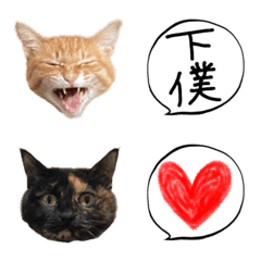 [LINE絵文字] 猫村(茶トラ.サビ)の画像