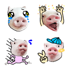 [LINE絵文字] I`m INOSUKE,micro pig. EMOJIの画像