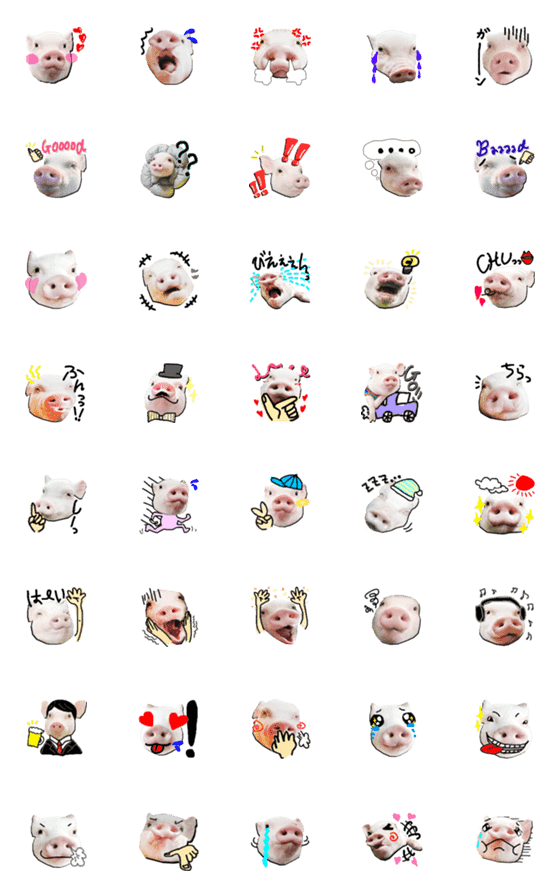 [LINE絵文字]I`m INOSUKE,micro pig. EMOJIの画像一覧